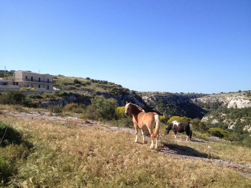 Casa Al Castello Guest House Ragusa Eksteriør bilde